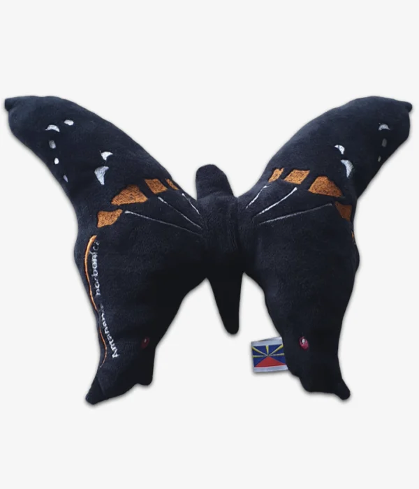 Vanesse de bourbon papillon de l'île de La Réunion