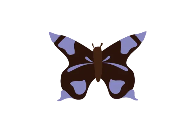 Papillons
