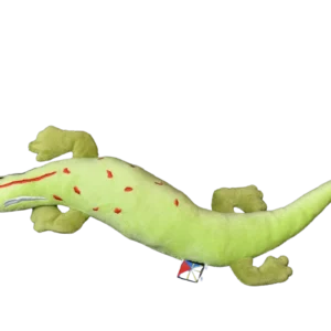 Lézard vert de Manapany de l'île de La Réunion