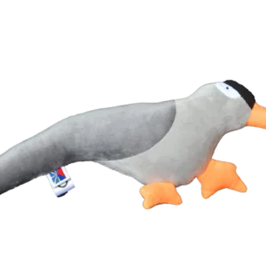 Merle pays de l'île de La Réunion