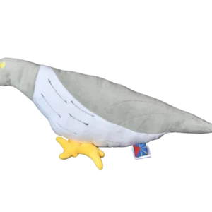 Papangue de l'île de La Réunion