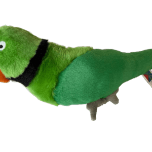 Perruche verte des Mascareignes