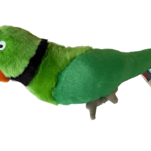 Perruche verte des Mascareignes